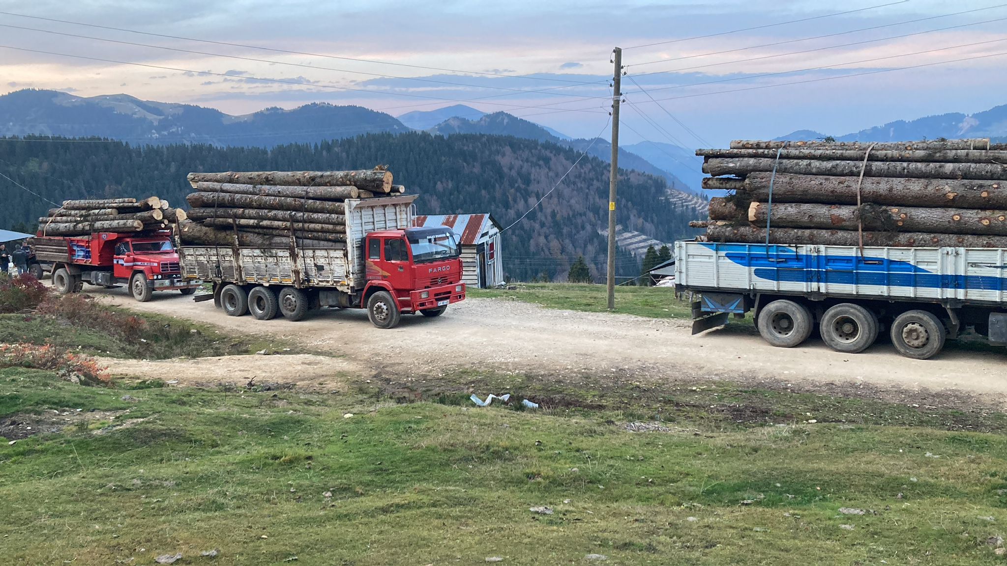 Ağaç Tomruk İşleme